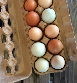 Dozen Chicken Eggs