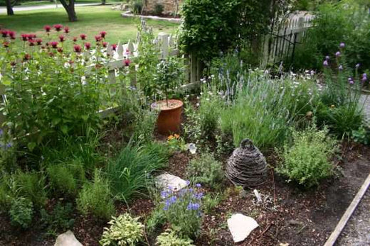From Cityscape to Greenscape: Starting Our Urban Farm Herb Garden in December